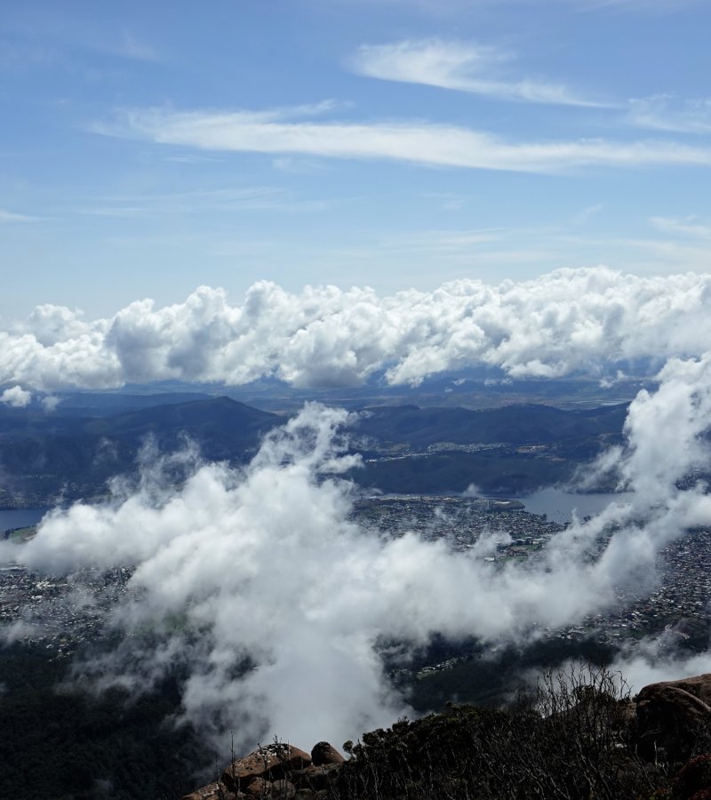 M as in Museum or Mount Wellington