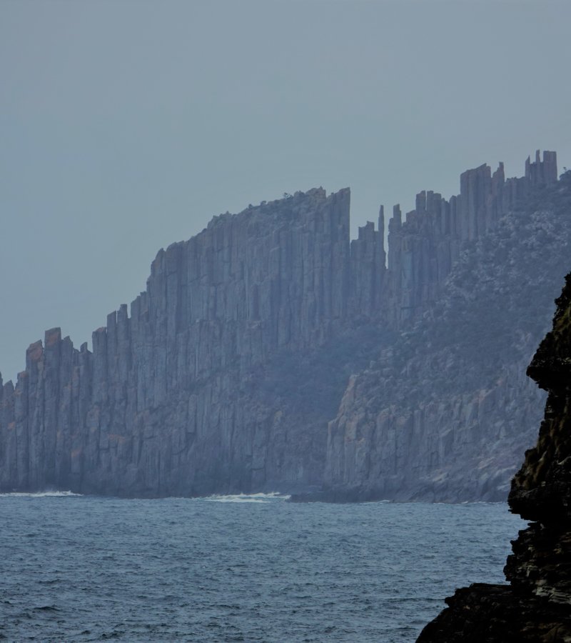 Sea Cliffs
